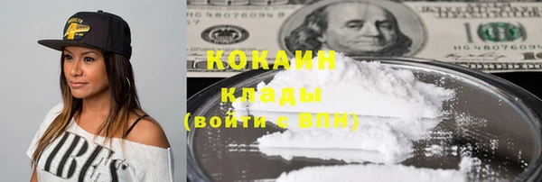 стаф Арсеньев