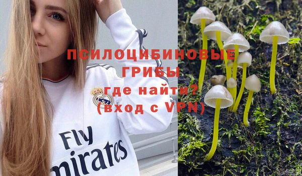 мескалин Алексеевка
