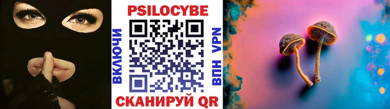 Псилоцибиновые грибы ЛСД купить наркотики цена это какой сайт Поронайск